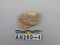 藏品(牡蠣)的圖片